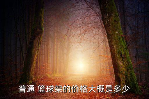 普通 籃球架的價(jià)格大概是多少