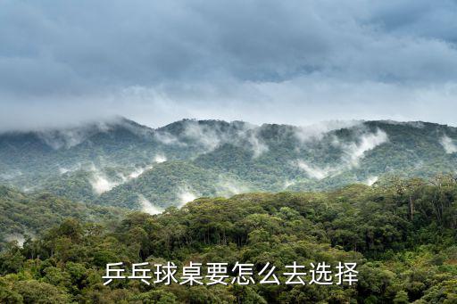  乒乓球桌要怎么去選擇