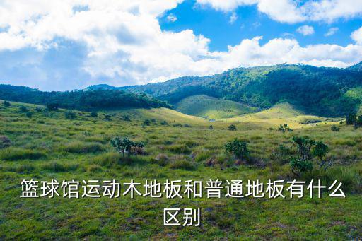  籃球館運(yùn)動木地板和普通地板有什么區(qū)別