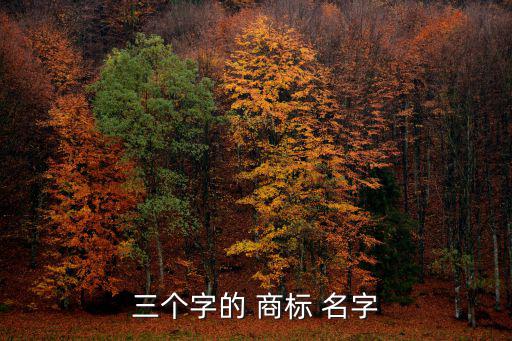 商標(biāo) 名字,nn個(gè)人申請(qǐng)證件:身份證復(fù)印件(需簽名)