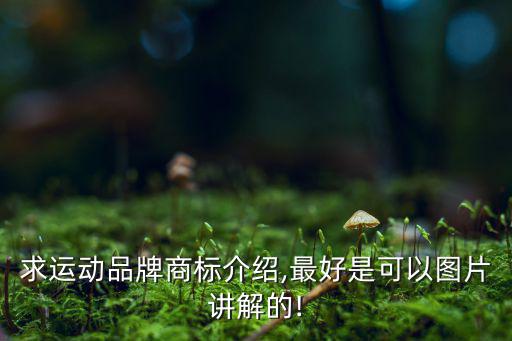求運(yùn)動品牌商標(biāo)介紹,最好是可以圖片講解的!