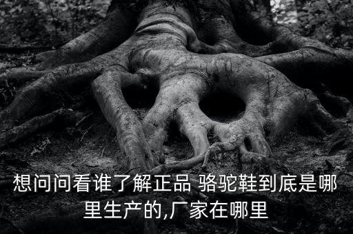 想問(wèn)問(wèn)看誰(shuí)了解正品 駱駝鞋到底是哪里生產(chǎn)的,廠家在哪里