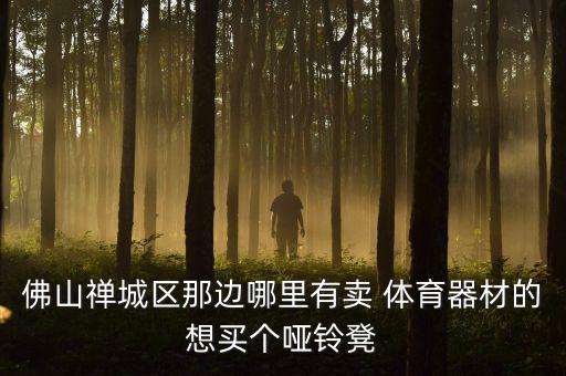 佛山禪城區(qū)那邊哪里有賣 體育器材的想買個(gè)啞鈴凳