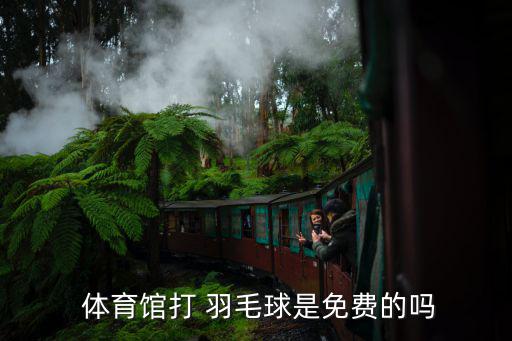  體育館打 羽毛球是免費(fèi)的嗎