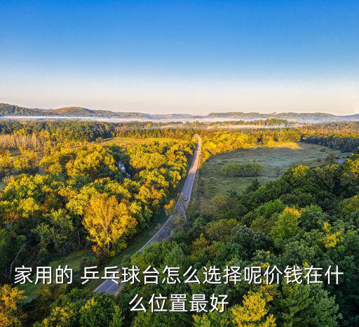 乒乓球桌報價,迪卡儂乒乓球桌報價
