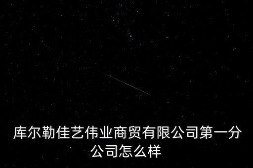  庫(kù)爾勒佳藝偉業(yè)商貿(mào)有限公司第一分公司怎么樣