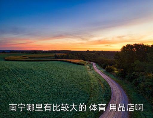 南寧哪里有比較大的 體育 用品店啊