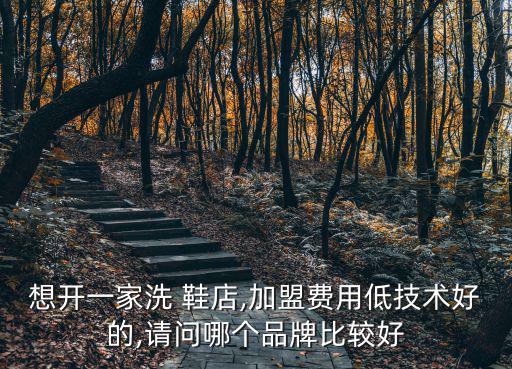想開一家洗 鞋店,加盟費(fèi)用低技術(shù)好的,請問哪個(gè)品牌比較好