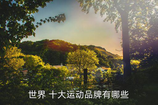 世界 十大運(yùn)動品牌有哪些