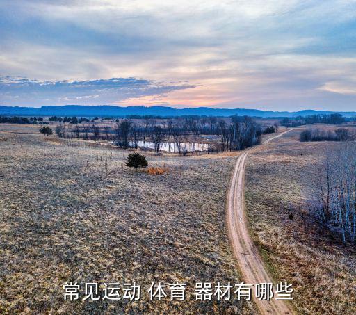 常見(jiàn)運(yùn)動(dòng) 體育 器材有哪些
