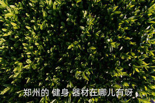 鄭州的 健身 器材在哪兒有呀