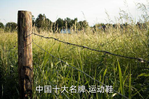 中國十大名牌 運(yùn)動(dòng)鞋