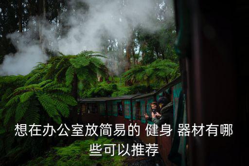 想在辦公室放簡(jiǎn)易的 健身 器材有哪些可以推薦