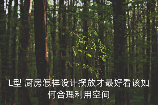 L型 廚房怎樣設計擺放才最好看該如何合理利用空間