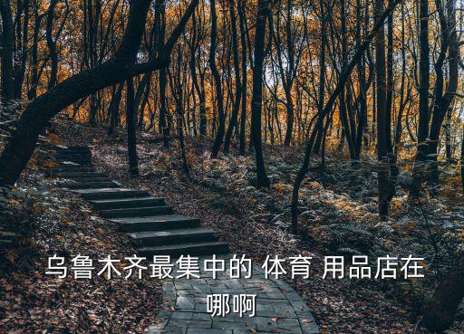 烏魯木齊商貿(mào)城哪里賣體育用品