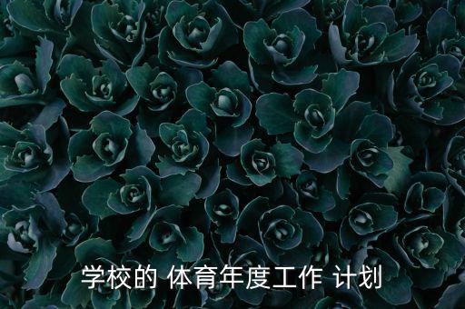 學校的 體育年度工作 計劃