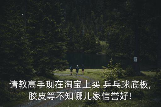 請教高手現(xiàn)在淘寶上買 乒乓球底板,膠皮等不知哪兒家信譽好!
