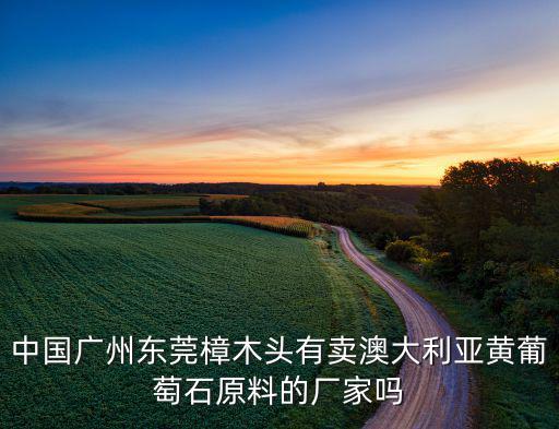 大朗附近哪里有賣體育用品