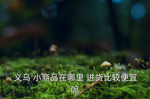  義烏 小商品在哪里 進(jìn)貨比較便宜呢