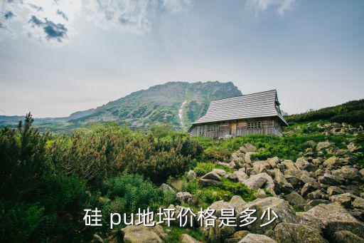 硅 pu地坪價格是多少