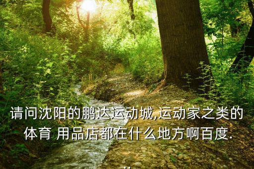 請(qǐng)問(wèn)沈陽(yáng)的鵬達(dá)運(yùn)動(dòng)城,運(yùn)動(dòng)家之類的 體育 用品店都在什么地方啊百度...