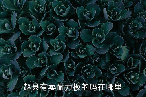 趙縣有賣(mài)耐力板的嗎在哪里