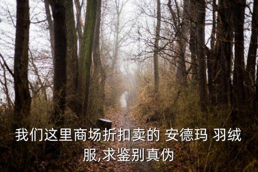 我們這里商場折扣賣的 安德瑪 羽絨服,求鑒別真?zhèn)? class=