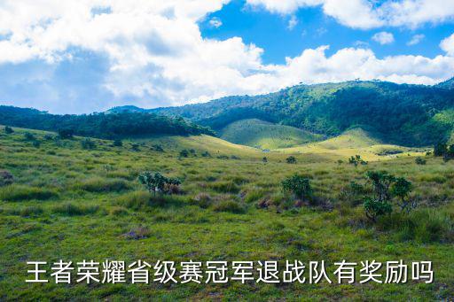  王者榮耀省級賽冠軍退戰(zhàn)隊有獎勵嗎