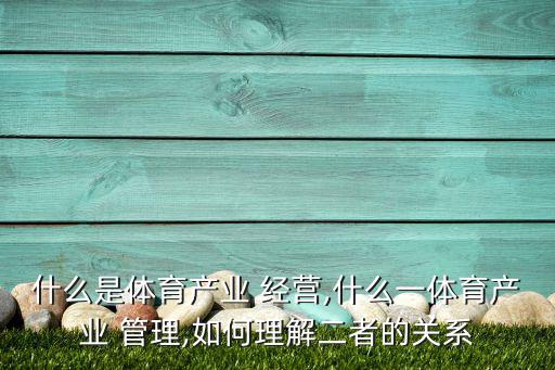 體育場(chǎng)館經(jīng)營(yíng)管理的概念,國(guó)內(nèi)外體育場(chǎng)館經(jīng)營(yíng)管理比較分析