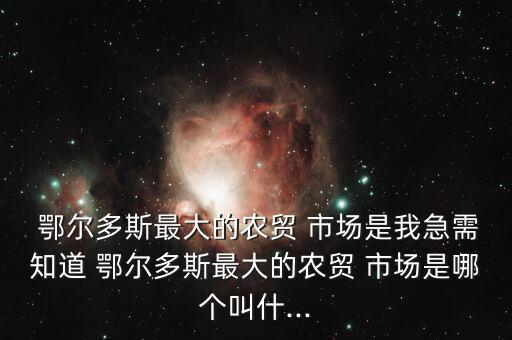鄂爾多斯批發(fā)市場在哪里進(jìn)貨,廣州包包批發(fā)市場進(jìn)貨在哪里