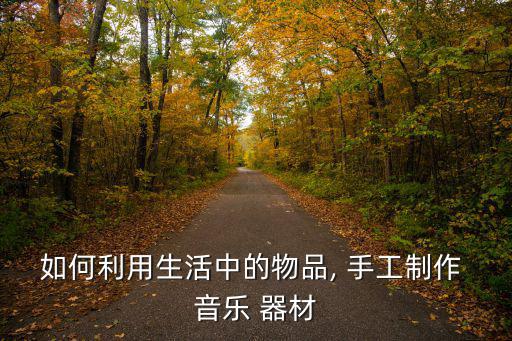 如何利用生活中的物品, 手工制作 音樂(lè) 器材