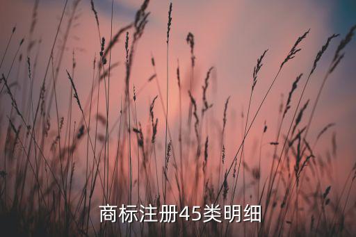  商標注冊45類明細