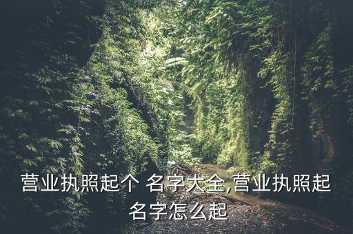 公司注冊名字大全免費(fèi),怎么查店名是否被注冊商標(biāo)