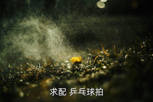 乒乓球拍生產(chǎn)廠(chǎng)家聯(lián)系方式電話(huà),假球拍招牌做工非常粗糙