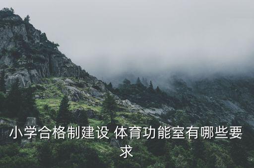 中小學(xué)體育器材和場地標(biāo)準(zhǔn),江蘇省中小學(xué)體育器材設(shè)施配備標(biāo)準(zhǔn)