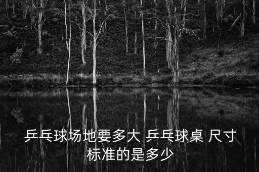  乒乓球場地要多大 乒乓球桌 尺寸 標準的是多少