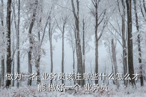 做為一名 業(yè)務員該注意些什么怎么才能 做好一個 業(yè)務員