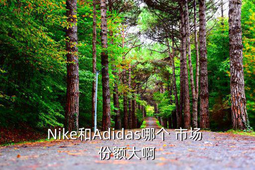 日本體育用品市場份額多少,2022體育用品各品牌市場份額