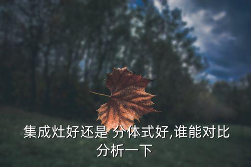  集成灶好還是 分體式好,誰(shuí)能對(duì)比分析一下