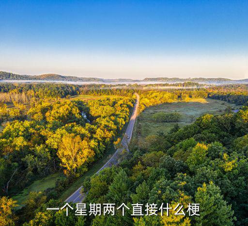 一個(gè)星期兩個(gè)直接什么梗