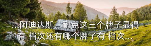 ...阿迪達(dá)斯、耐克這三個牌子顯得有 檔次還有哪個牌子有 檔次...