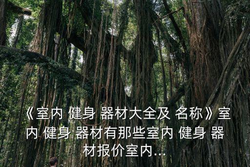 《室內(nèi) 健身 器材大全及 名稱》室內(nèi) 健身 器材有那些室內(nèi) 健身 器材報價室內(nèi)...