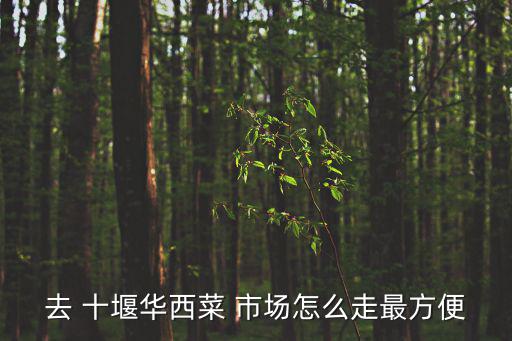 十堰最大蔬菜批發(fā)市場(chǎng),十堰東風(fēng)料理市場(chǎng)可入住東風(fēng)招待所