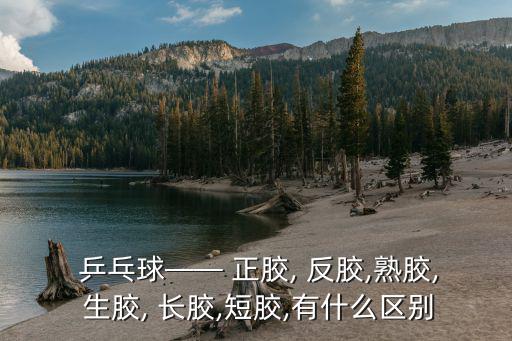 乒乓球正膠反膠長(zhǎng)膠生膠,正膠反膠生膠長(zhǎng)膠的區(qū)別圖片