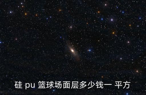 硅 pu 籃球場面層多少錢一 平方