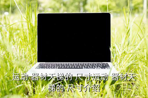 運(yùn)動(dòng) 器材天梯的 尺寸運(yùn)動(dòng) 器材天梯的 尺寸介紹