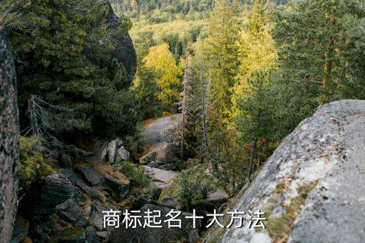  商標起名十大方法
