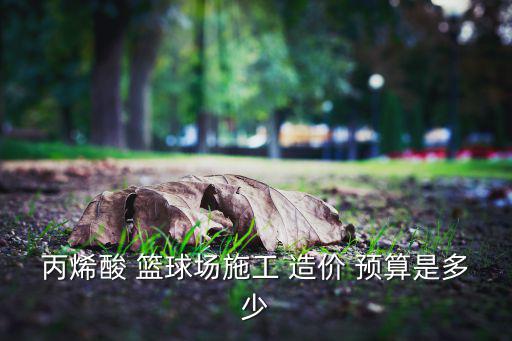 丙烯酸 籃球場施工 造價 預(yù)算是多少