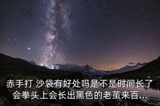 練功沙袋種類圖片價格,立式沙袋價格與圖片