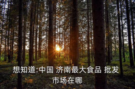 濟南食品批發(fā)市場在哪里,濟南休閑零食批發(fā)市場